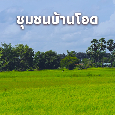 แนะนำชุมชนบ้านโอด